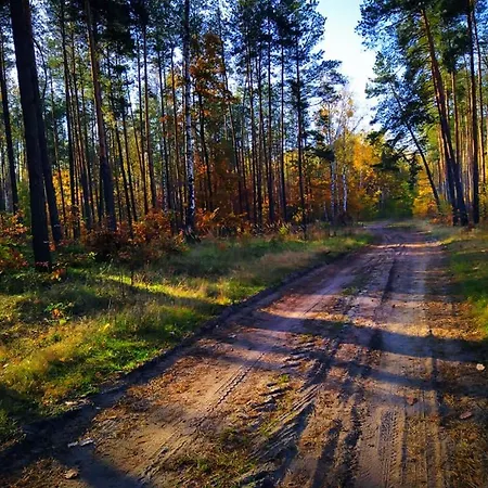 Wypoczynek Na Wsi Slowiki Nowe